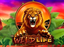 The Wild Life preview