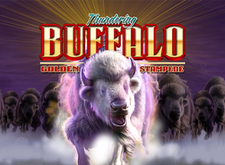 Thundering Buffalo Golden Stampede logo