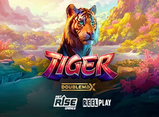 Tiger Doublemax logo