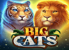 TopSpin Games Big Cats