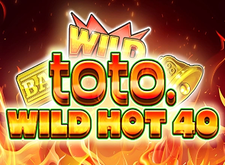 Toto Wild Hot 40 Logo