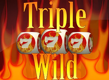 Triple Wild Dices logo