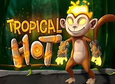 Tropical Hot logo