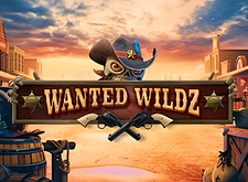 Wanted Wildz
