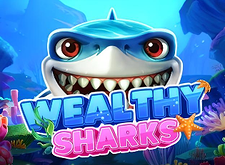 Wealthy Sharks preview