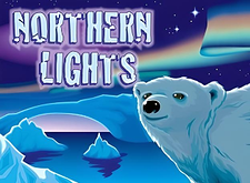 WGS Northern Lights logo