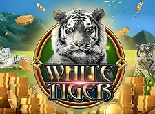 White Tiger