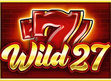 Wild 27 Logo