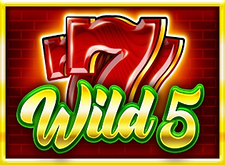 logotipo de Wild 5