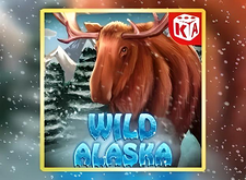 Wild Alaska logo