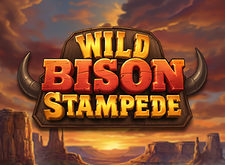Wild Bison Stampede