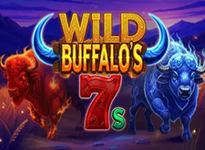 Wild Buffalos 7s
