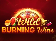 Wild Burning Wins Logo