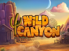 logotipo de Wild Canyon