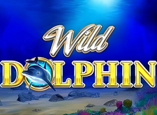 Wild Dolphin logo
