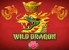logotipo de Wild Dragon