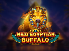 Wild Egyptian Buffalo