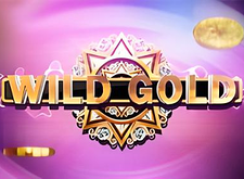 Wild Gold logo