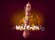 Wild Grills logo