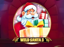 Wild Santa 3