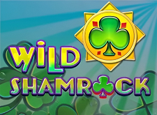Wild Shamrock logo