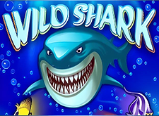logotipo de Wild Shark