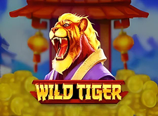Wild Tiger