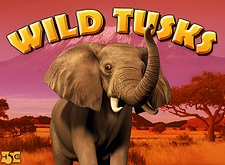 Wild Tusks logo