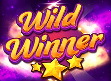 logotipo de Wild Winner