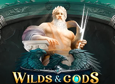 Wilds and Gods