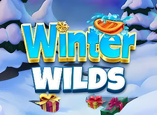 Winter Wilds logo