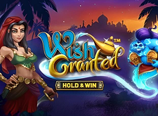 Wish Granted preview