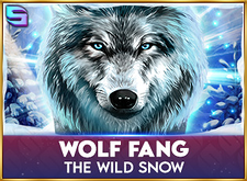 логотип Wolf Fang The Wild Snow