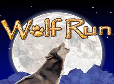 Wolf Run preview