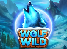 Wolf Wild