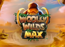 Woolly Wilds MAX