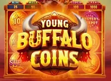 Young Buffalo Coins