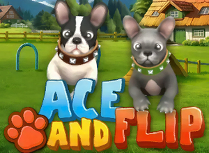 Ace and Flip preview