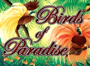 Birds of Paradise