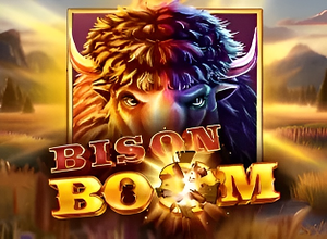 Bison Boom