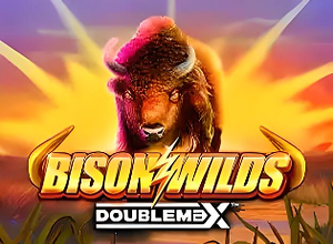 Bison Wilds DoubleMax