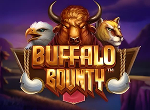 Buffalo Bounty preview