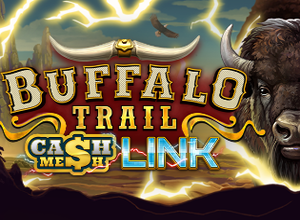 Buffalo Trail Cash Mesh LINK