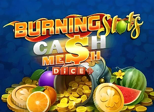 Burning Slots Cash Mesh Dice