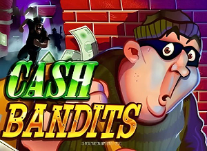 Cash Bandits