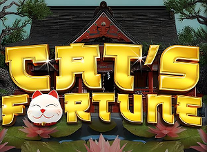 Cats Fortune
