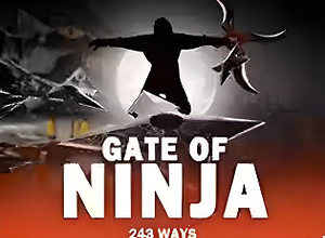 Gate of Ninja