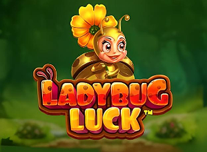 Ladybug Luck