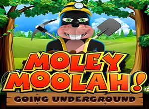 Moley Moolah preview