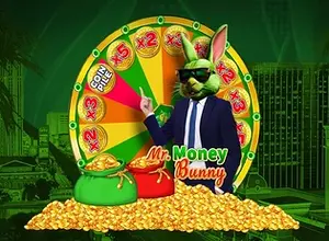 Mr Money Bunny